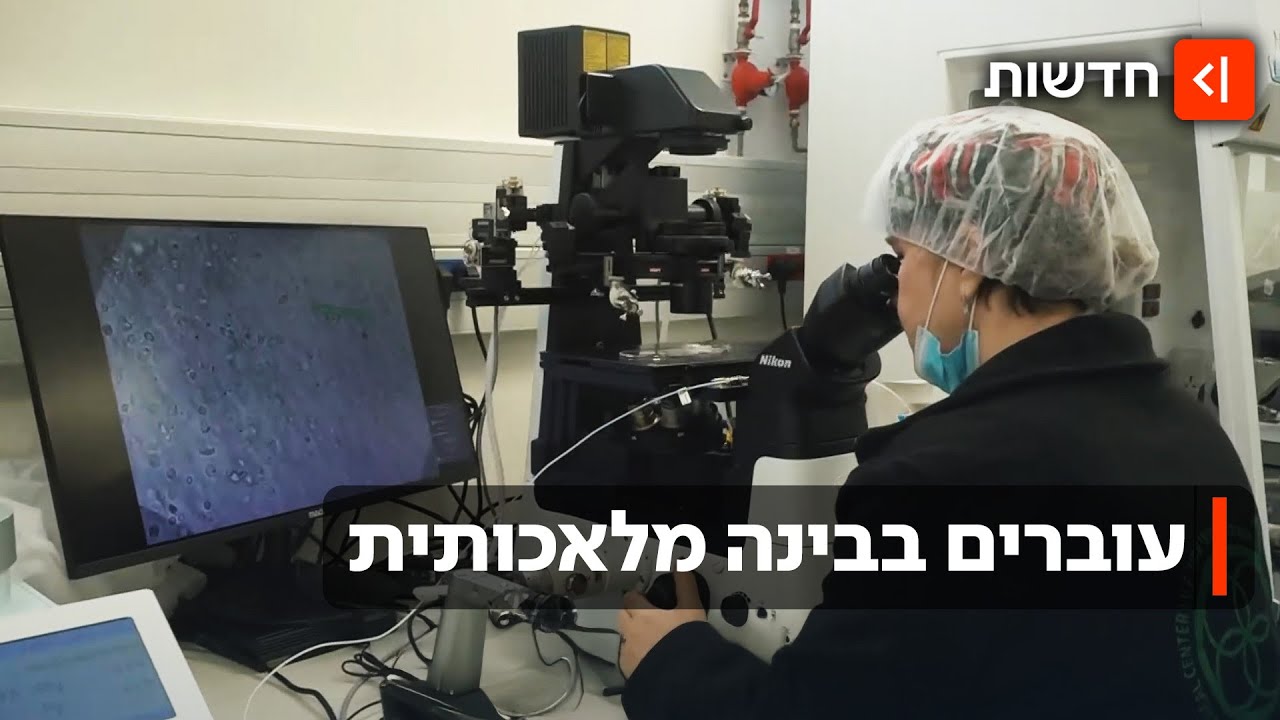 נולדו בזכות ה-AI: הבינה המלאכותית משפרת את הסיכוי להיריון בהפריה חוץ-גופית