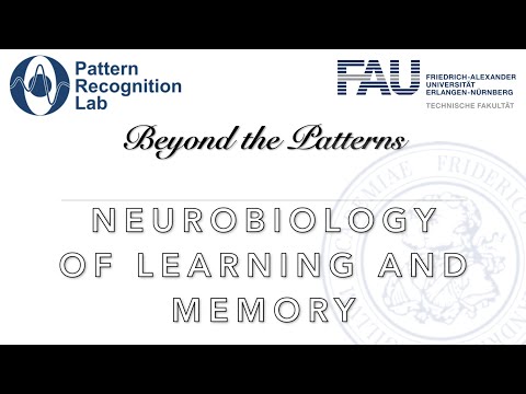 Beyond the Patterns - Episode 2 - Holger Schulze - Neurobiology of Learning and Memory