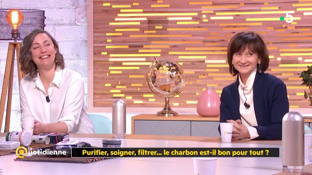 Purifier, soigner, filtrer... le charbon est-il bon pour tout  - La Quotidienne