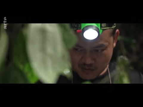 Covid 19 - Auf der Suche nach dem Ursprung Doku (2023)