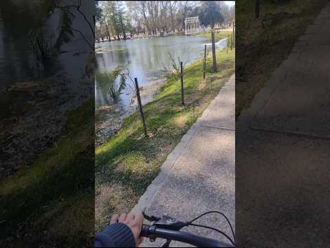 Paseando en cleta 🚴 Serca del la lago 🌅 del Parque sarmiento 🎢🎡🎪 Córdoba capital 🌇 🇦🇷  Parte 4️⃣