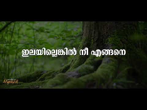 ILAYILLENKIL NEE ENGANE KARAOKE WITH LYRICS I AHMAD MOINUDHEEN I #ilayillenkil #malayalamgazal
