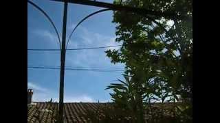 preview picture of video 'Terrace/Pergola -- Hyères-Les-Palmiers, France'