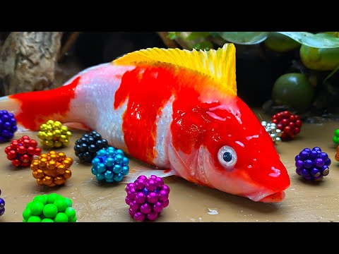 Magnetic Rainbow Fish : Sea Fishing in Mukbang | Magnet Stop Motion & Satisfying video Eel Cooking!