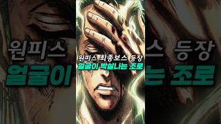 [ 원피스1180화 ] 처참하게 박살나버린 조로