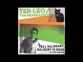 Ted Leo & The Pharmacists - The High Party (Solo)