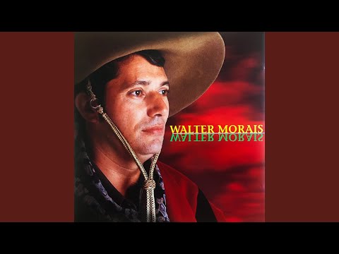 A Volta do Tordilho Negro