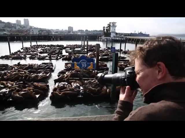 Tamron Objetivo AF 16-300 mm F/3.5-6.3 Di II VC PZD Macro para Canon video