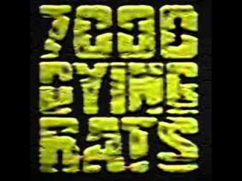 7000 Dying Rats - cocaine keeps me thin and sexy.