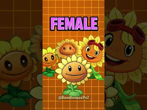 Plants vs Zombies Fact | Sunflower