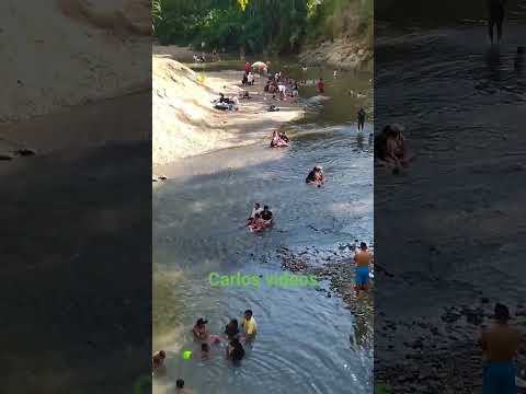 mira vé en el Río la Paila Zarzal valle Bañadero cumba Carlos videos de la Paila Zarzal