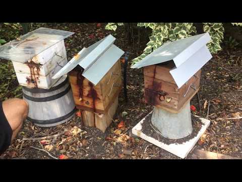 The Little Black Bee talk about bees and resins