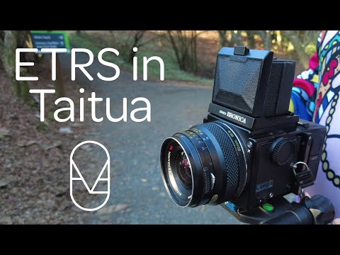 Shooting Film with the Zenza Bronica ETRS in Taitua Arboretum