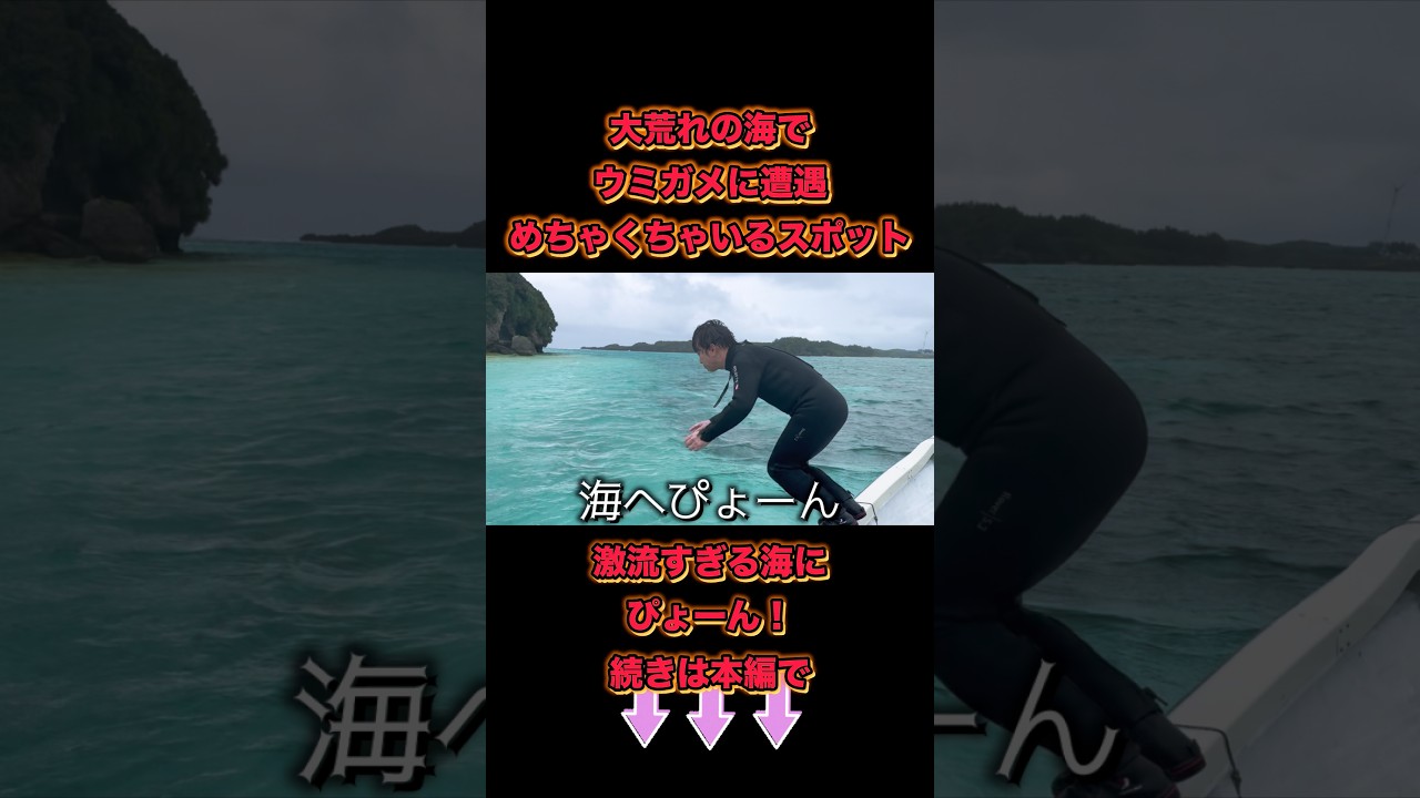 濱口激流でウミガメ遭遇！素潜りで無人島上陸！伝説復活！ #濱口優 #よゐこ #獲ったどー