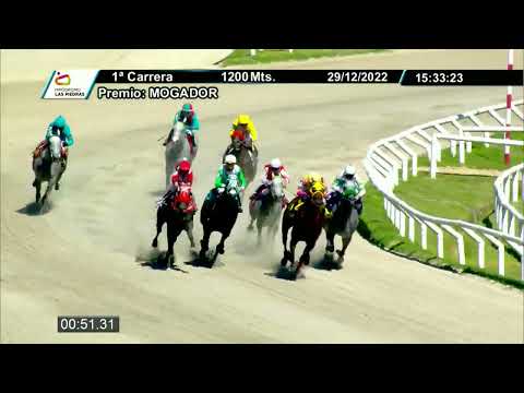 221229 c01 - LA ROCHELLE - HIPODROMO LAS PIEDRAS