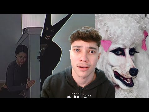 the bizarre horror videos of tiktok