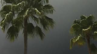 [Seamless 1 Hour Loop] $uicideboy$- Runnin&#39; Thru The 7th With My Woadies