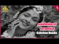 Kallellam Manikka Video Song Aalayamani Movie Songs Sivaji Ganesan Saroja Devi Pyramid Music