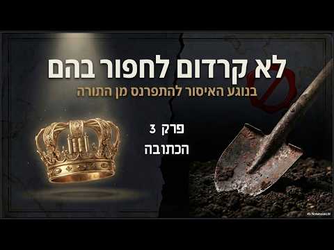 תצוגת סרטון