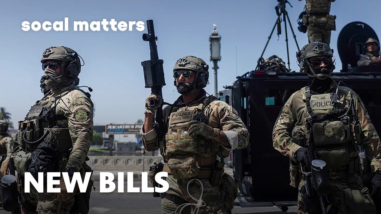 How CA Democrats Plan to Counter ICE Tactics | SoCal Matters | PBS SoCal