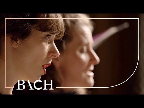 Bach - Chorale Jesu, meine Freude BWV 358 - Prégardien | Netherlands Bach Society