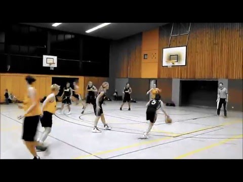 Highlights TK Hannover - SC Langenhagen