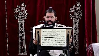 זבחים דף י"ח ע''א ¤ הרב נתנאל אברז'ל ¤ בית הכנסת "בית מרדכי" (מוסדות תורת דוד) - התמונה מוצגת ישירות מתוך אתר האינטרנט יוטיוב. זכויות היוצרים בתמונה שייכות ליוצרה. קישור קרדיט למקור התוכן נמצא בתוך דף הסרטון