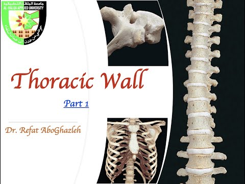 Anatomy of Thoracic Wall Part 1 (Full Lecture)