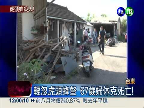 昨被虎頭蜂螫 67歲婦今休克死!