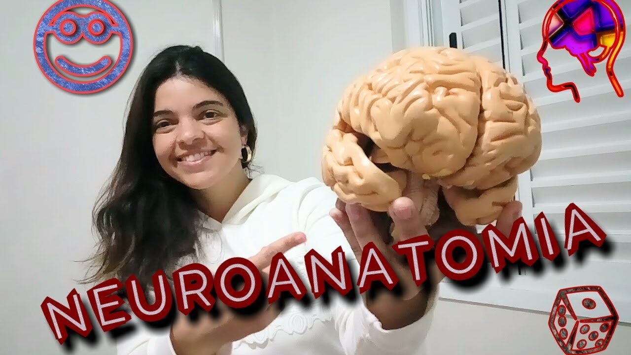 #NEUROANATOMIA - FUNÇÕES DOS GIROS E LOBOS CEREBRAIS
