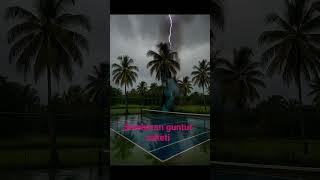 Download lagu PETIR MENYAMBAR POHON KELAPA mp3 Download lagu PETIR MENYAMBAR POHON KELAPA mp3