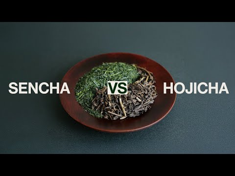 Sencha vs  Hojicha Tea  - Which one is Better?