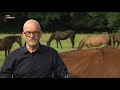 Onenigheid bij opvangplek voor oude paarden in Soest [RTV Utrecht]