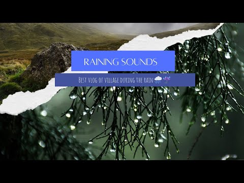 Rainy day and best sounds of nature .🌱💤💦