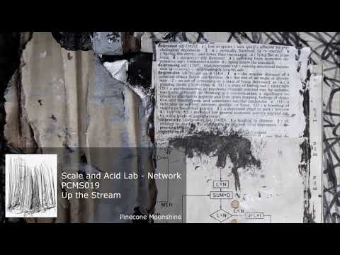 Scale and Acid Lab - Network