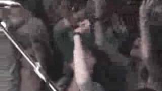 elefant Argentina uh oh hello end