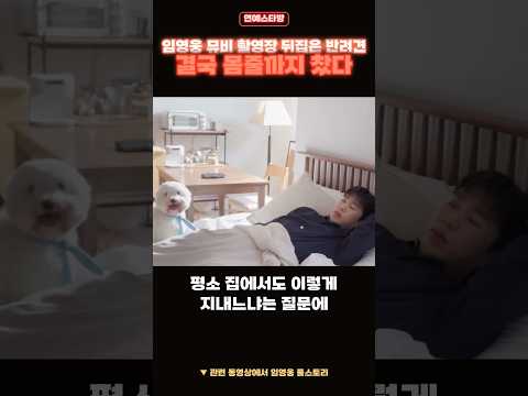 임영웅 뮤비 촬영장 뒤집은 반려견, 결국 몸줄까지 찼다 #임영웅 #shorts