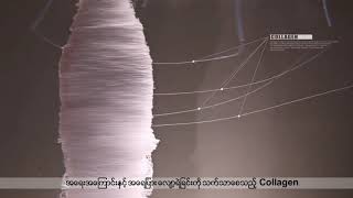 Senite Collagen Lifting Series