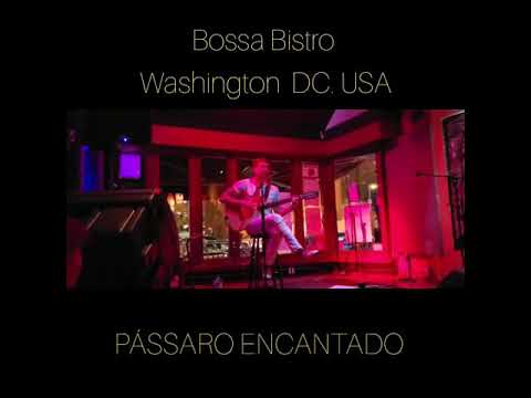 Pássaro Encantado video