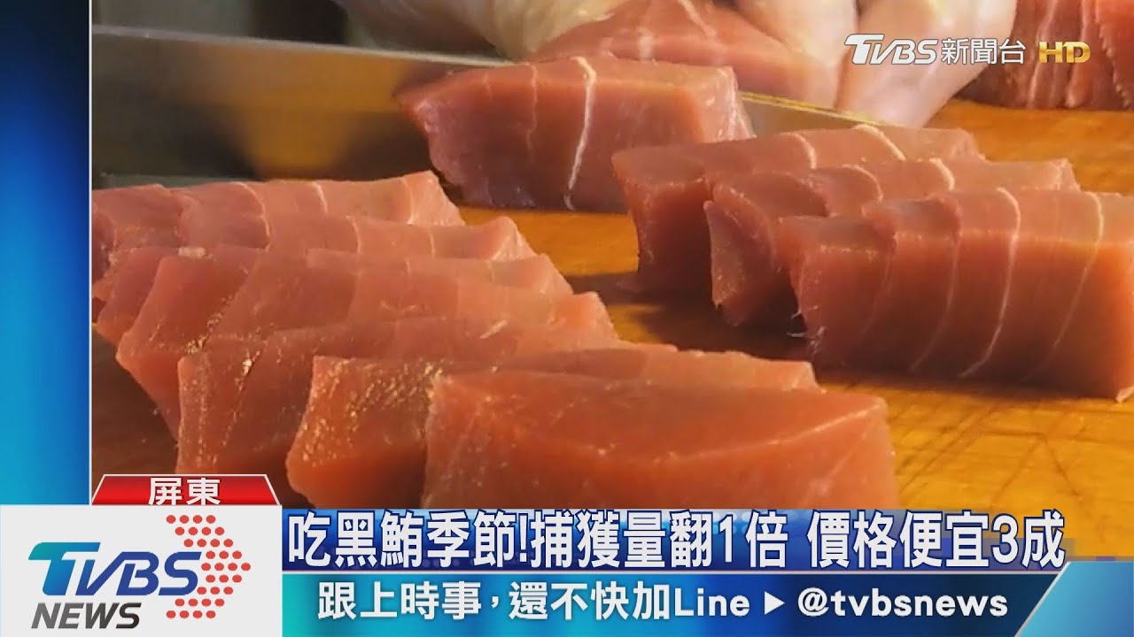 吃黑鮪季節!捕獲量翻1倍 價格便宜3成