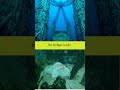 Seram Ternyata Ada Makam Dibawah Laut Bagaimana Cara Memakamkannya Shortsfeed Shorts Shortsvideo