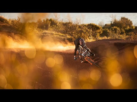 COMMENCAL Meta AM 29 Signature Brushed