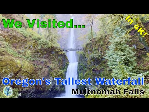Oregon's Tallest Waterfall! Multnomah Falls in 4K!