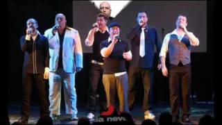 Voice Male - The Lion Sleeps Tonight (A cappella)