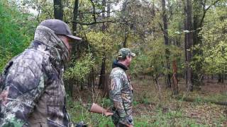 When Coyotes Attack.  IN MY FACE