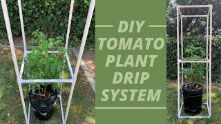 Thumbnail for video: Easy DIY Tomato Plant Drip System | Hydroponics