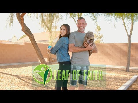 Welcome to Leaf of Faith