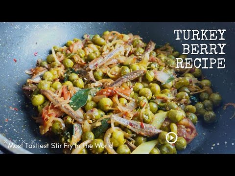 Episode 111 | Turkish berry recipe turkey berry curry pea eggplant recipe turkey berry recipes