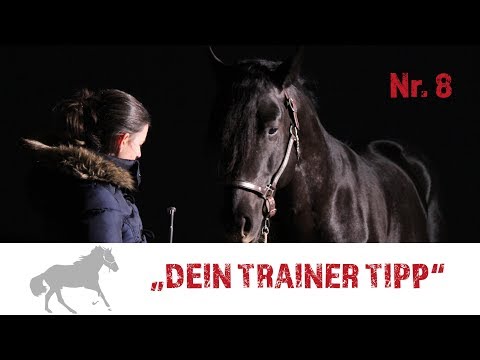TRAINER TIPP Nr. 8 mit Cathleen Trudrung: Reiten durch Wasser