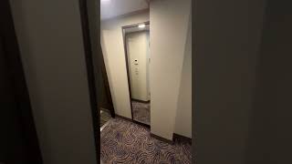 Ovation of the Seas Forward Facing Oceanview 8104